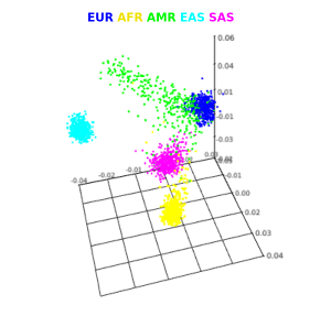 1000_genomes_pca.png