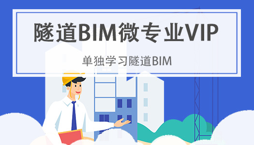 隧道BIM微专业VIP