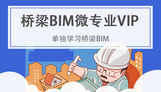 桥梁BIM微专业VIP