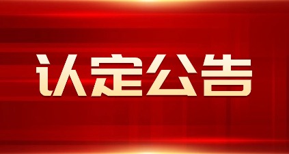 2024年山东省中小学教师资格认定公告