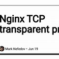 Nginx Transparent Proxy