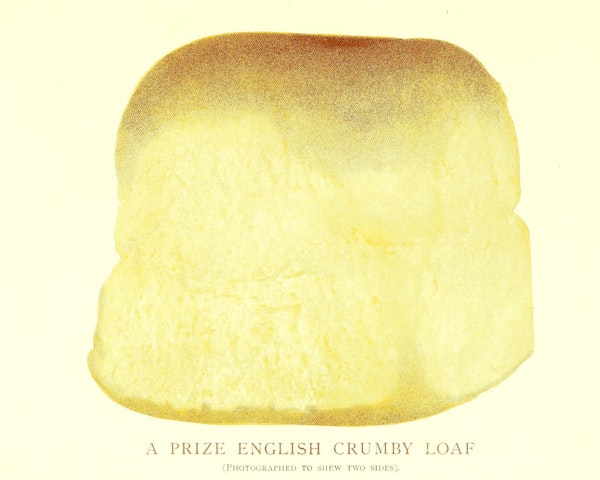 Illustration of bread