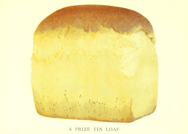 Illustration of bread