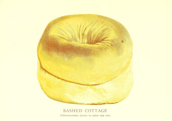 Illustration of bread