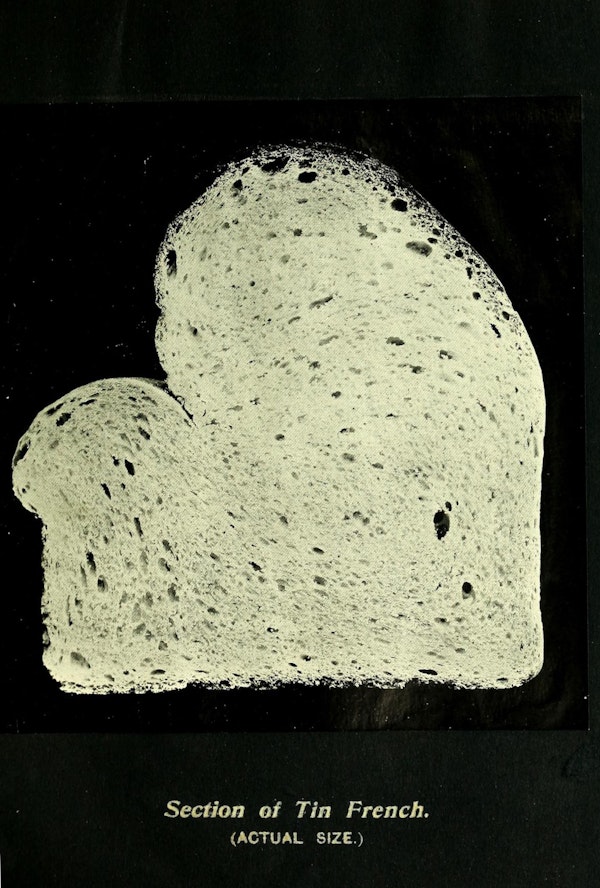 Illustration of bread