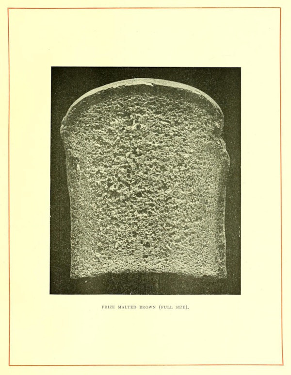 Illustration of bread