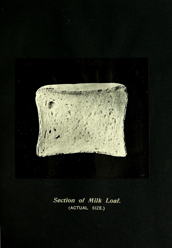 “Illustration of bread”