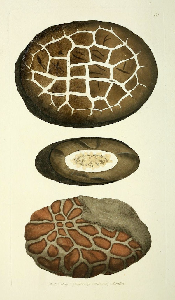 Illustration of minerals by Sowerby