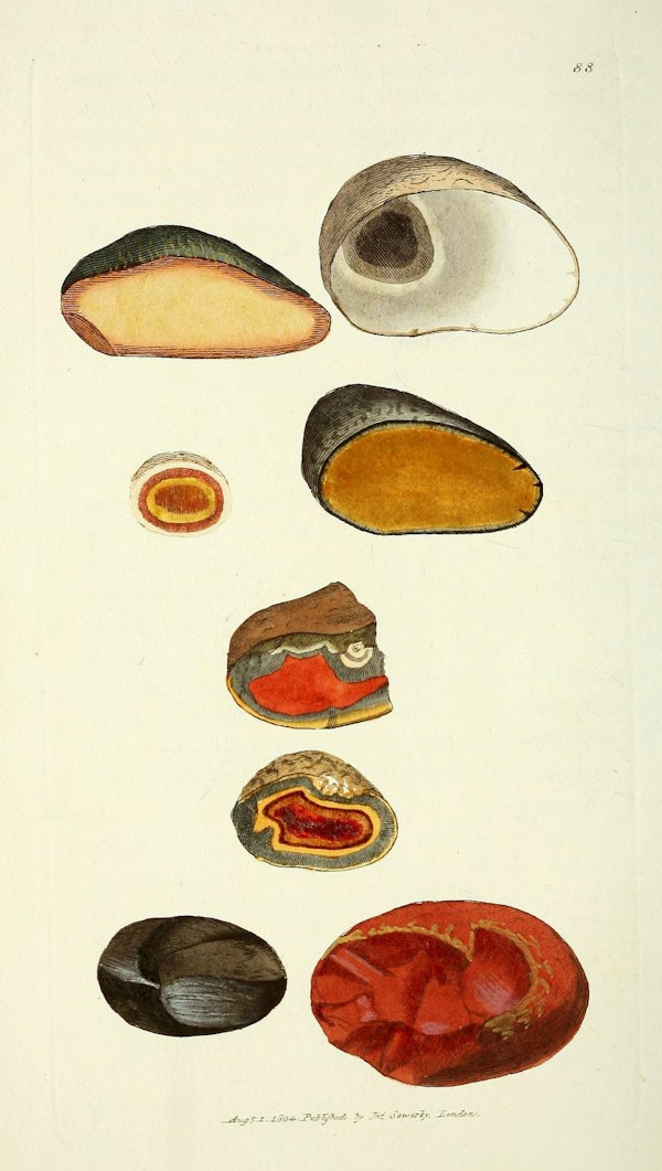 Illustration of minerals by Sowerby