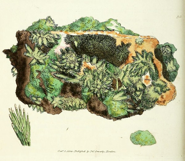 Illustration of minerals by Sowerby