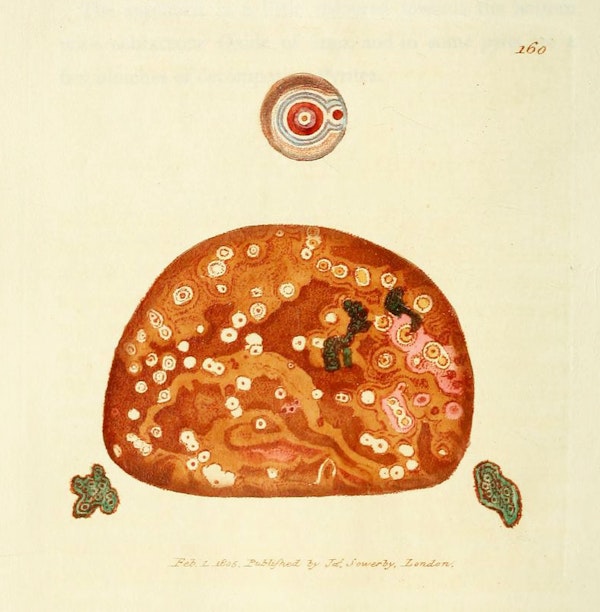 Illustration of minerals by Sowerby