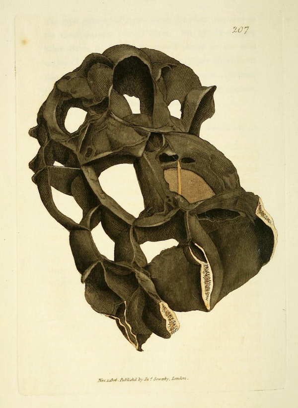 Illustration of minerals by Sowerby