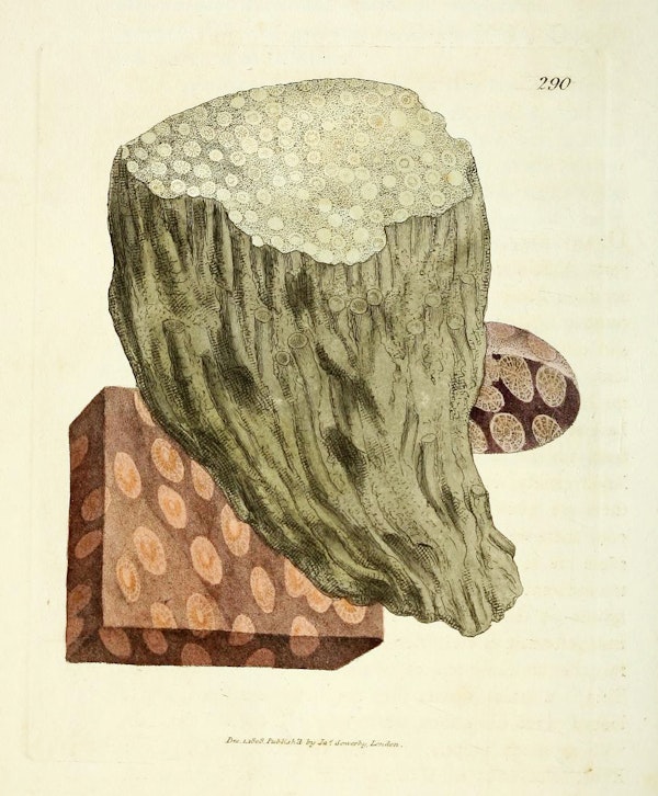 Illustration of minerals by Sowerby