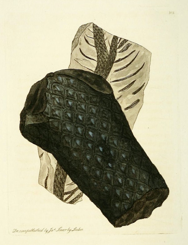 Illustration of minerals by Sowerby