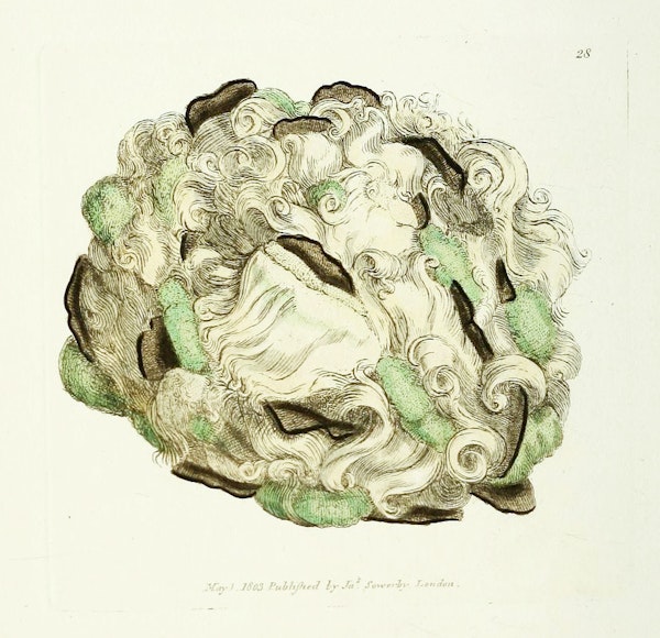 Illustration of minerals by Sowerby