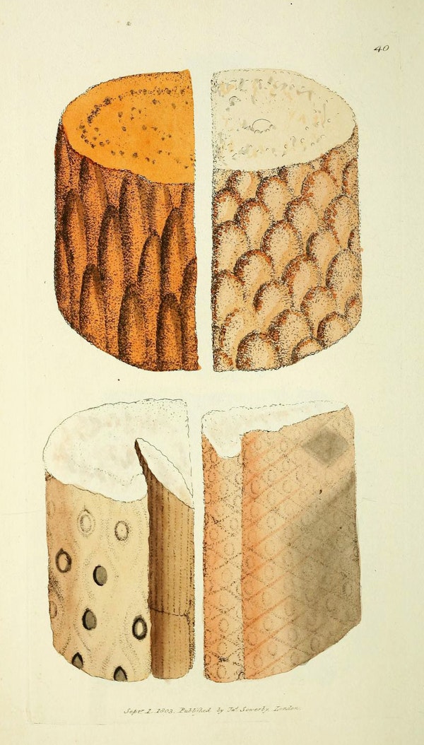 Illustration of minerals by Sowerby