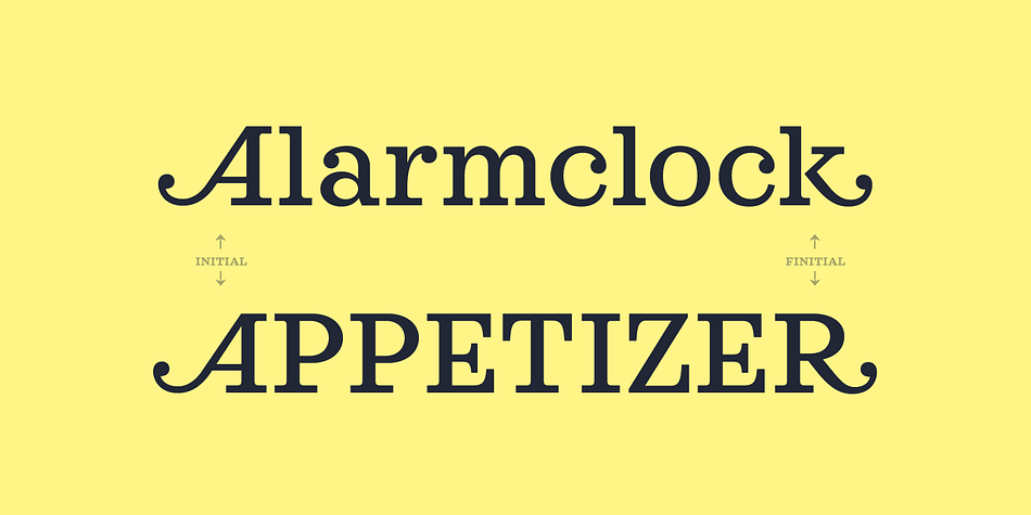 Sagona  has extensive OpenType support including 9 additional stylistic sets, Stylistic Alternates, Lining Figures and Standard Ligatures making it a powerful font for experienced designers.