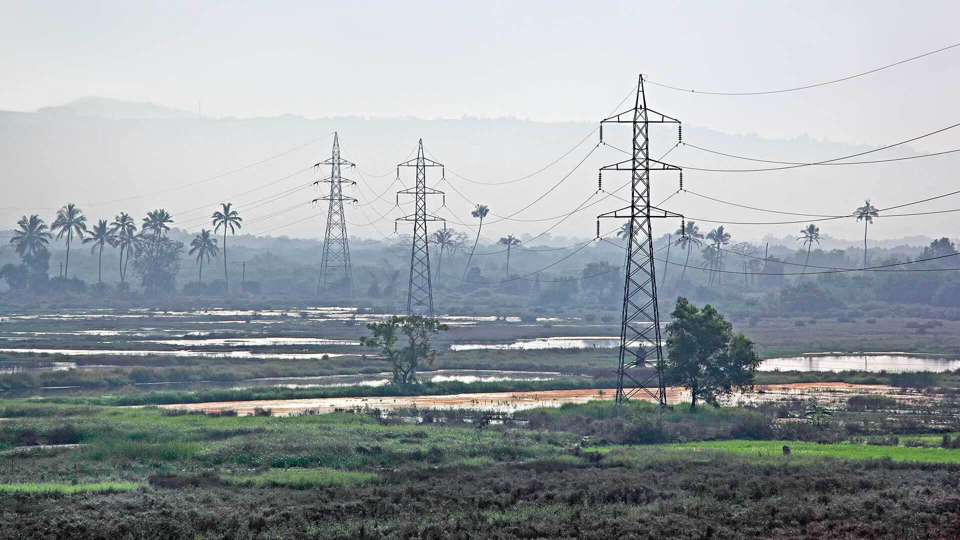 electric power lines crossing a marshy field