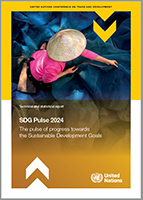 Cover image for SDG Pulse 2024