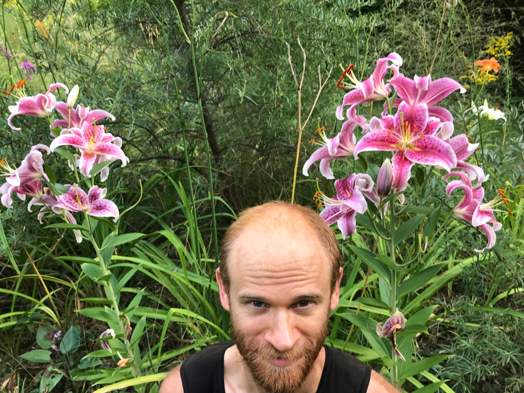 Portrait of a Lilium Stargazer