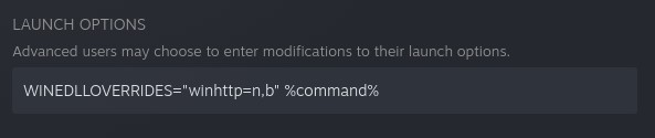steam launch options