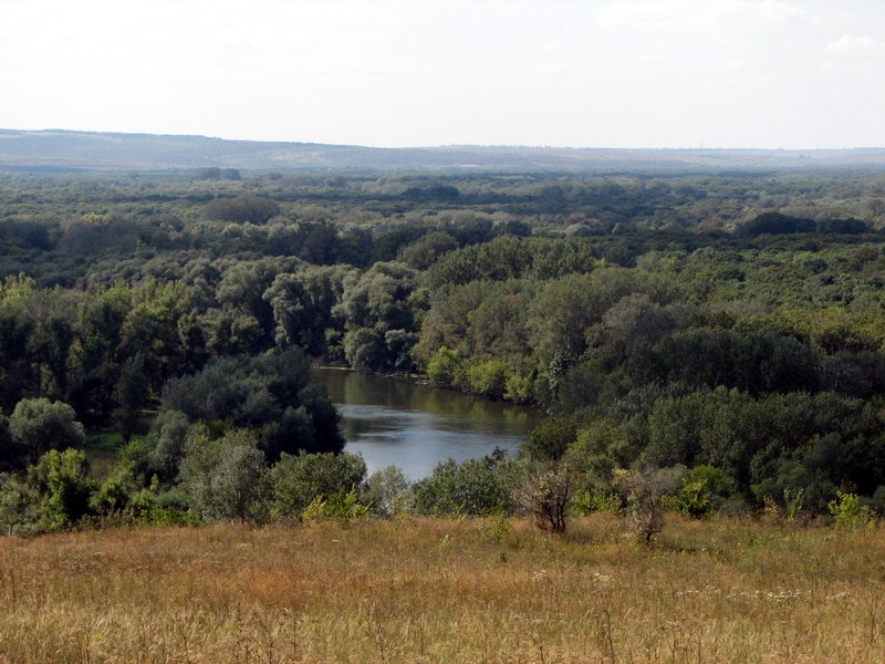 File:Donets near shipilivka4.JPG