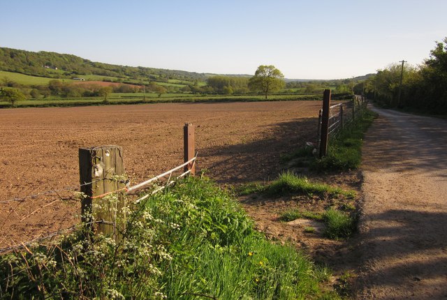 File:Field near Rawridge - geograph.org.uk - 2990526.jpg