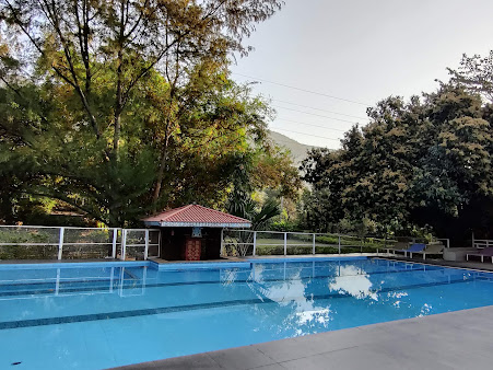 File:Inground Blue Swimming Pool.jpg