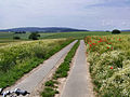 Lahn-Eder-Radweg, Foto: nahe Todenhausen, Wetter (Burgwald)