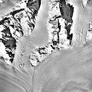 Columbia Glacier, Valley Glacier Convergence, March 12, 1989 (GLACIERS 1442).jpg