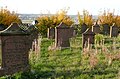 Jüdischer Friedhof Roth