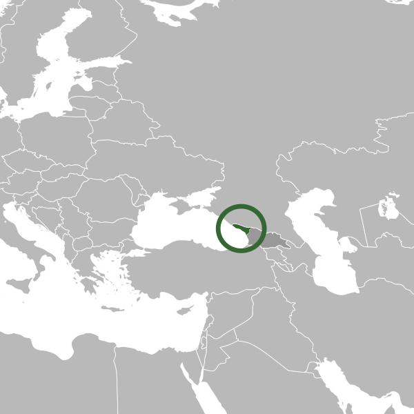 File:Location of the region of Abkhazia in Eastern Europe.svg