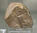 monazite