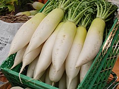 Daikon (Raphanus sativus)