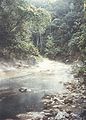 Hot springs in the jungle