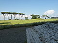 Parco degli Acquedotti in Rome, Italy