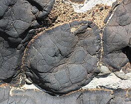 Pillow lava at Oamaru, New Zealand