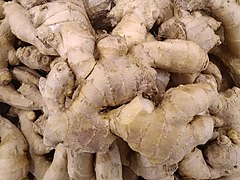 Ginger (Zingiber officinale)