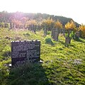 Jüdischer Friedhof Roth