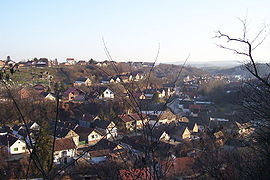 View of Ilok from city's fortress