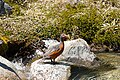 ♀ Near Fitz Roy, Argentina