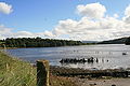 Northward view of the River Blackwater from Molana Island