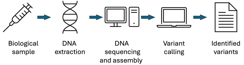 File:Genome-analysis-pipeline.png