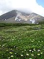 Daisetsu-zan asahidake with flowers　旭岳とお花畑