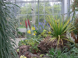 Botanischer Garten, Gewächshaus für Sukkulente und Pflanzen der Kanarischen Inseln.