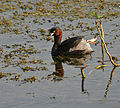 Hyderabad, India