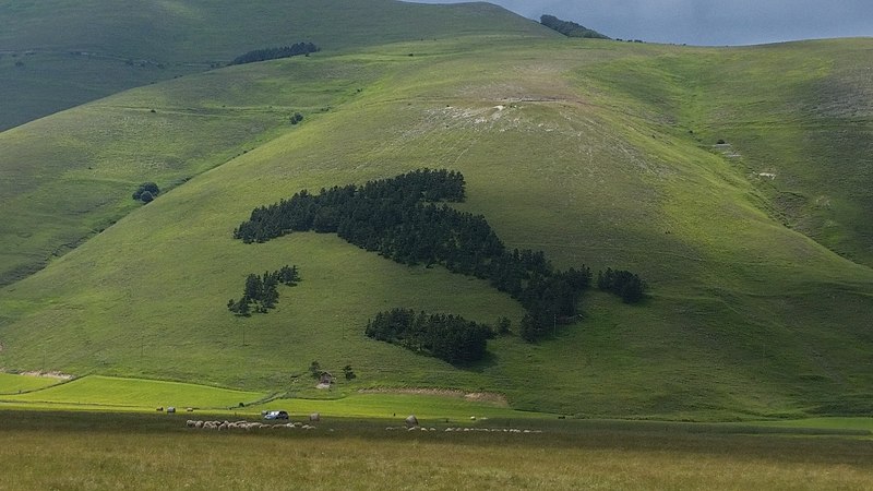 File:Castelluccio di Norcia (Italia).jpg