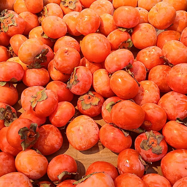 File:Sweet red persimmon.jpg