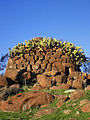 Nuraghe Monti Longu