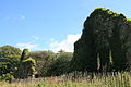 Western range of the monastery including the ruins of the kitchen and the west gable of the refectory